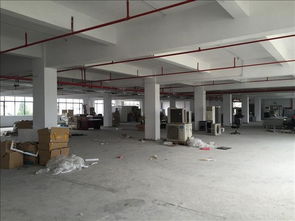 惠州市專業(yè)建筑廠房質(zhì)量安全檢測(cè)技術(shù)服務(wù) 構(gòu)筑堅(jiān)固基石，護(hù)航產(chǎn)業(yè)發(fā)展